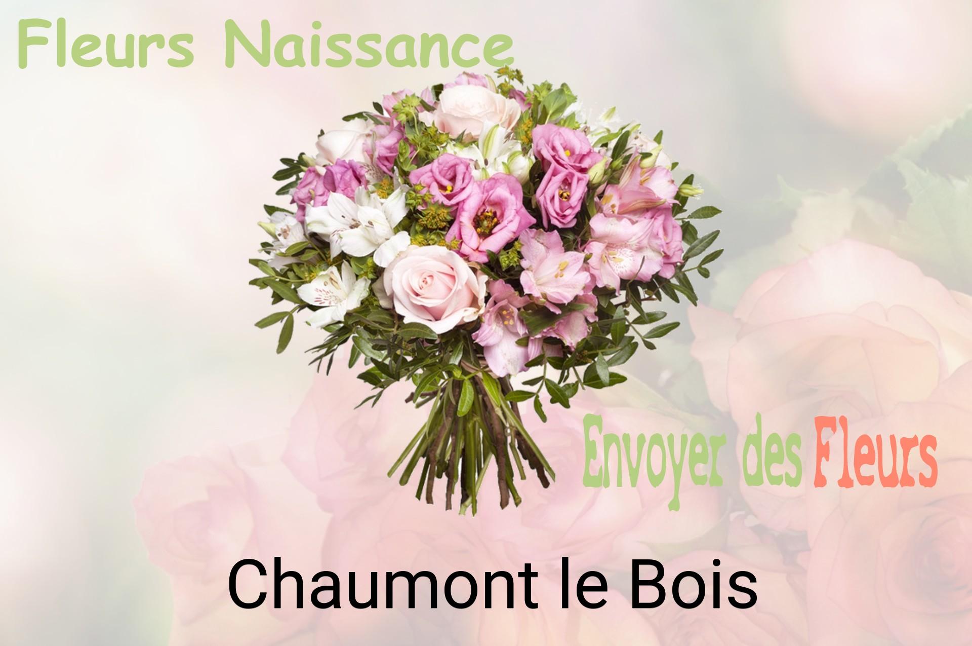 Bouquet de fleurs de naissance livré à Chaumont-le-Bois